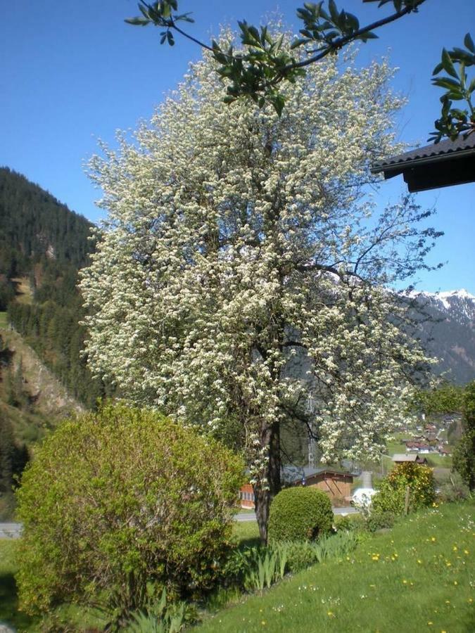 Haus Gant Daire Sankt Gallenkirch Dış mekan fotoğraf